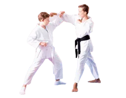 Kids Martial Arts